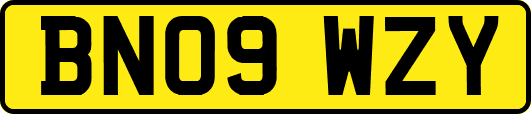 BN09WZY