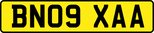 BN09XAA