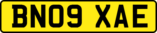 BN09XAE