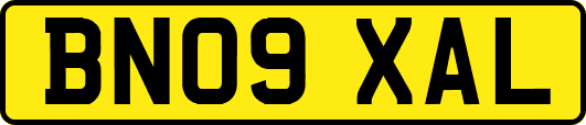 BN09XAL