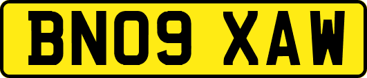 BN09XAW