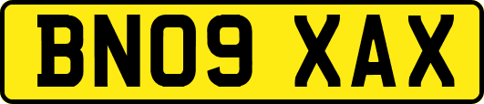 BN09XAX