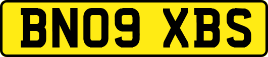 BN09XBS