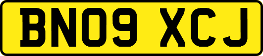 BN09XCJ