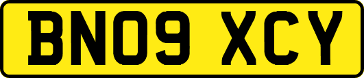 BN09XCY