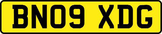 BN09XDG