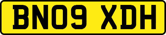 BN09XDH