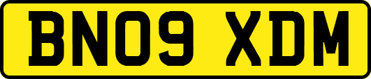 BN09XDM
