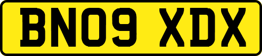 BN09XDX