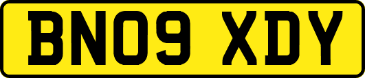 BN09XDY