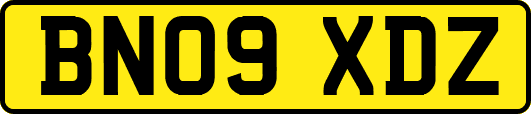 BN09XDZ