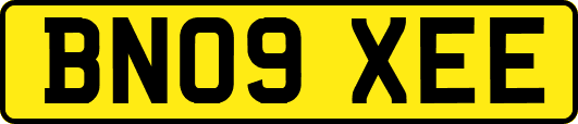 BN09XEE