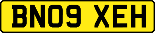 BN09XEH