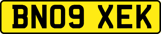 BN09XEK