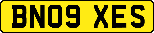 BN09XES
