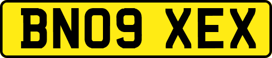 BN09XEX