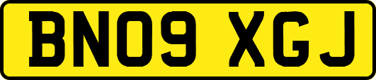 BN09XGJ