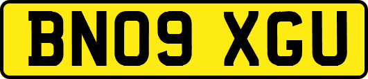 BN09XGU