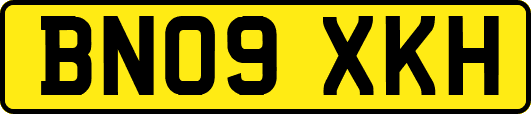 BN09XKH