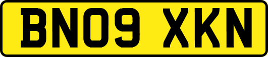 BN09XKN