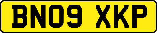 BN09XKP