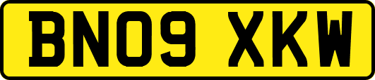 BN09XKW