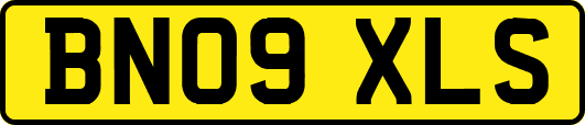 BN09XLS