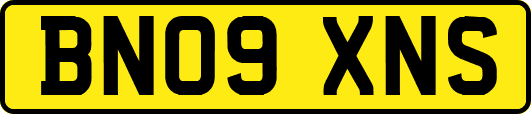 BN09XNS