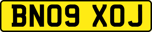 BN09XOJ