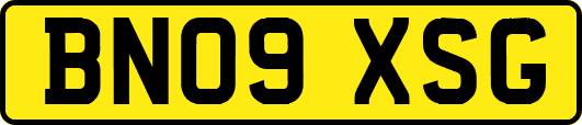 BN09XSG