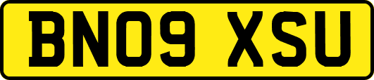 BN09XSU