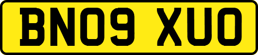 BN09XUO
