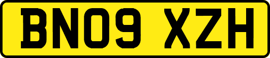 BN09XZH