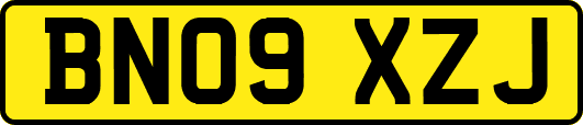 BN09XZJ