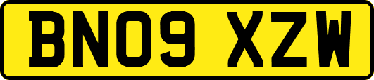 BN09XZW