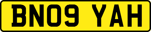 BN09YAH