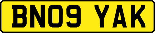 BN09YAK