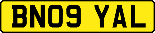 BN09YAL