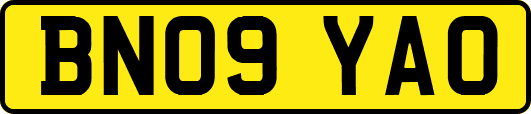 BN09YAO