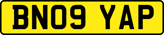 BN09YAP