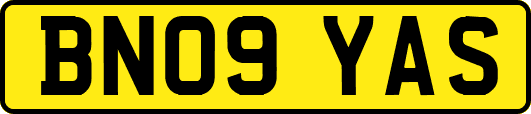 BN09YAS