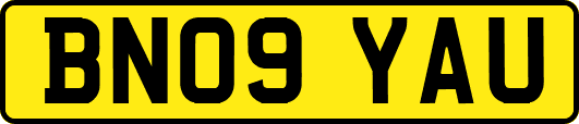 BN09YAU