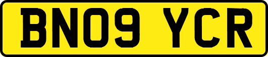 BN09YCR