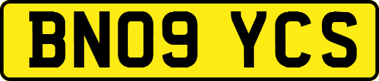 BN09YCS