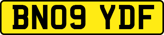 BN09YDF