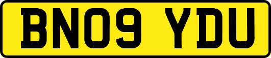 BN09YDU