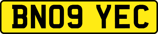 BN09YEC