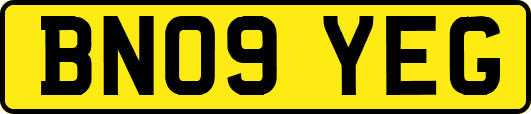 BN09YEG