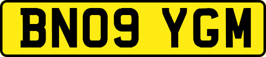 BN09YGM