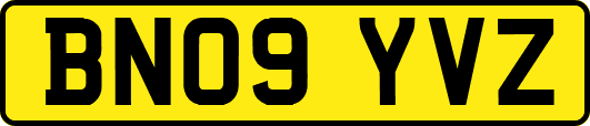 BN09YVZ